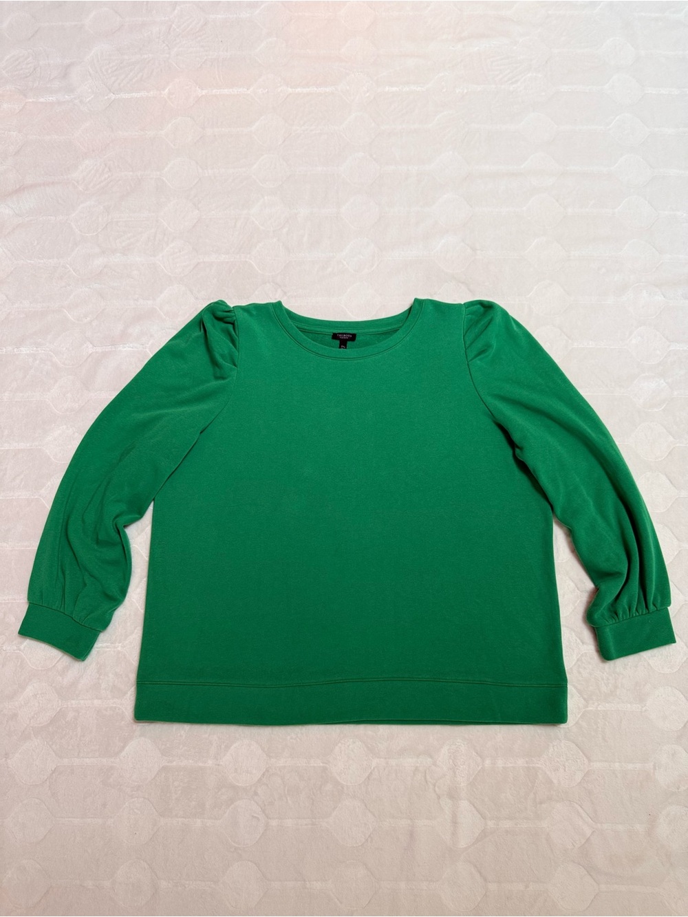 Talbots Plus Petite Sweatshirt 2XP Green Puff Sleeve Cotton Blend Pullover